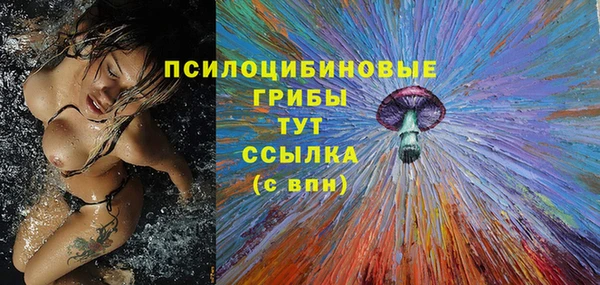 круглые Магас