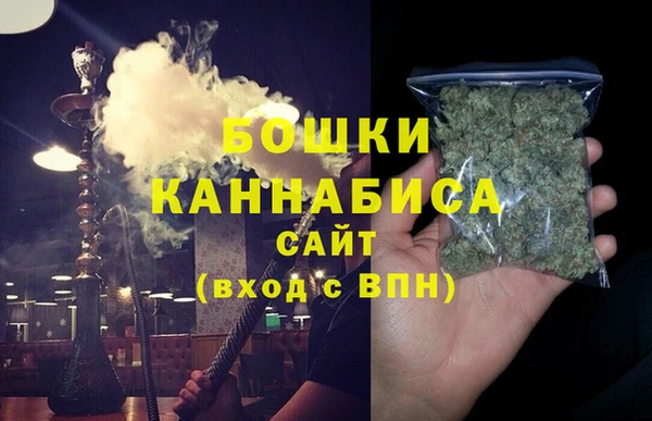 хмурый Липки