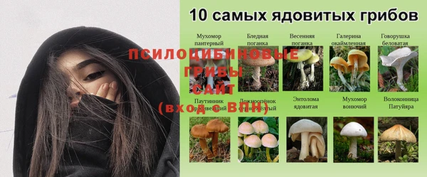 ГАЛЛЮЦИНОГЕННЫЕ ГРИБЫ Чита
