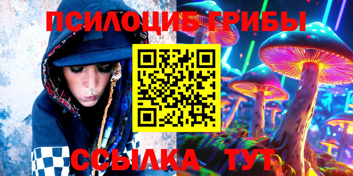 Псилоцибиновые грибы Cubensis  Псилоцибиновые грибы мицелий  Тейково 
