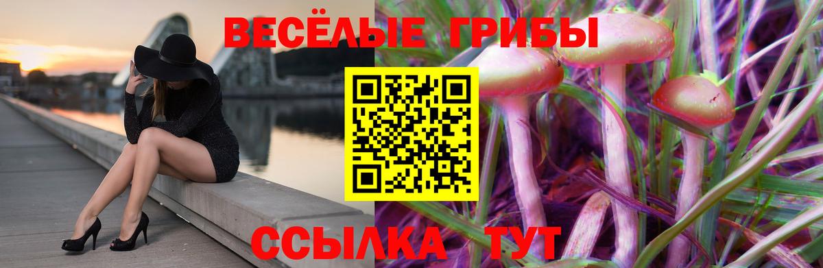 Псилоцибиновые грибы Psilocybine cubensis Тейково